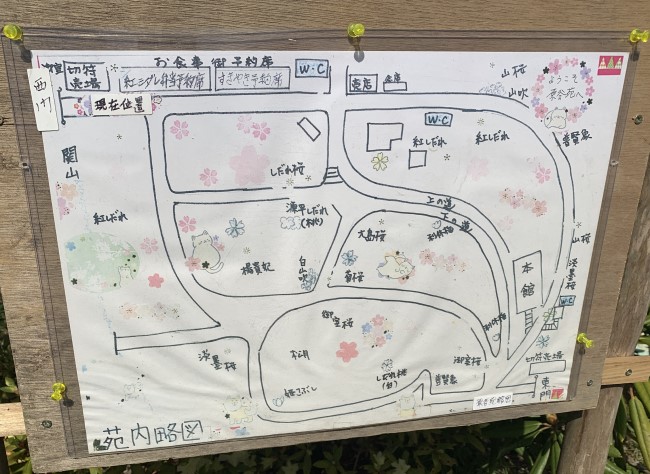 京都の原谷苑、園内MAP、園内マップ